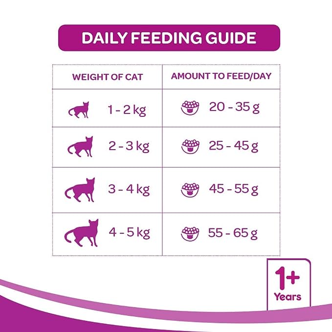 Whiskas Adult (+1 year) Dry Cat Food Food, Ocean Fish Flavour, 3kg Pack Whiskas Adult (+1 year) Dry Cat Food Food, Ocean Fish Flavour, 3kg Pack